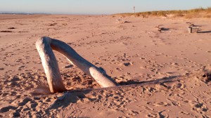 ein Arches am Strand