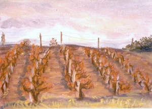 Weinberge im Herbst