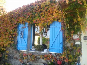 Küchenfenster in der Abendsonne